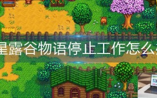 星露谷物语停止工作怎么办