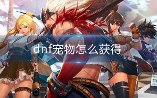 dnf宠物怎么获得