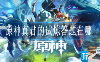 原神真君的试炼在哪参加