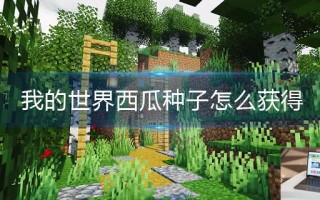 我的世界西瓜种子怎么获得