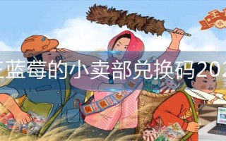 王蓝莓的小卖部兑换码2023