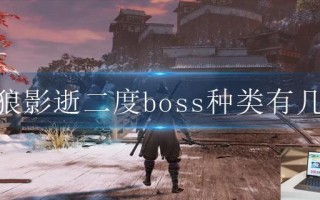 只狼影逝二度boss种类有几种