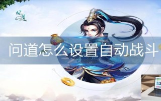 问道怎么设置自动战斗
