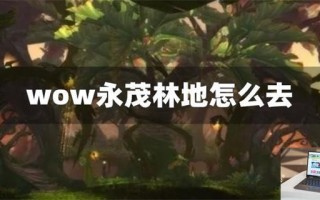 wow永茂林地怎么去