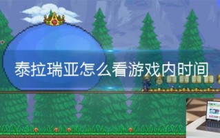 泰拉瑞亚怎么看游戏内时间