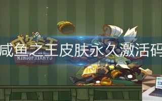 咸鱼之王皮肤永久激活码