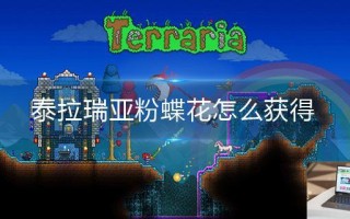 泰拉瑞亚粉蝶花怎么获得