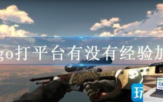 csgo打平台有没有经验加成