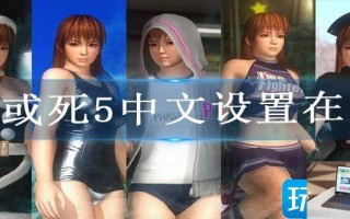 生或死5中文设置在哪
