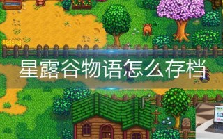 星露谷物语怎么存档