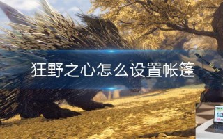 狂野之心怎么设置帐篷