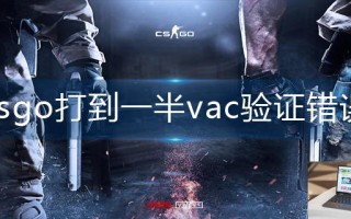 csgo打到一半vac验证错误怎么解决