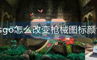 csgo怎么改变枪械图标颜色