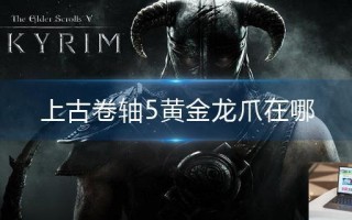 上古卷轴5黄金龙爪在哪