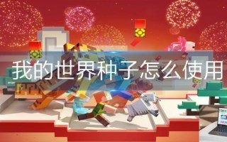 我的世界种子怎么使用