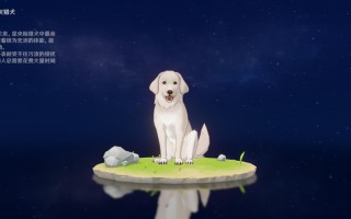 原神亮灰猎犬在哪 原神亮灰猎犬在哪