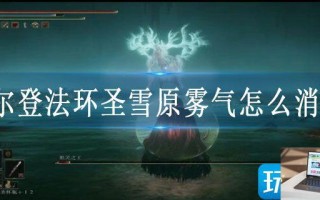艾尔登法环圣雪原雾气怎么消除