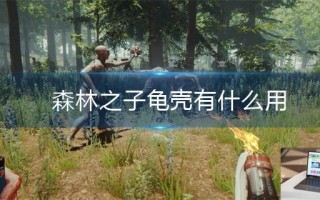 森林之子龟壳有什么用