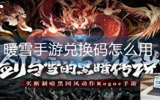 暖雪手游兑换码怎么用