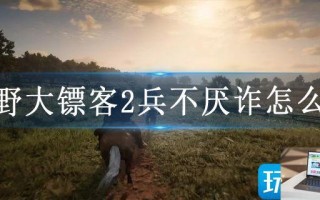 荒野大镖客2兵不厌诈怎么做