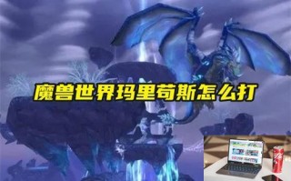 魔兽世界玛里苟斯怎么打