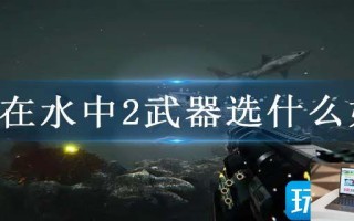 死在水中2武器选什么好