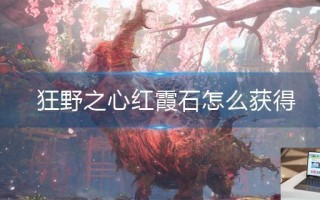 狂野之心红霞石怎么获得