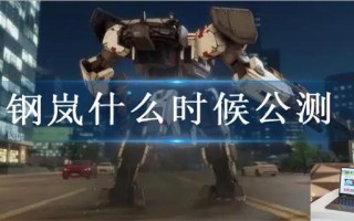 钢岚什么时候公测