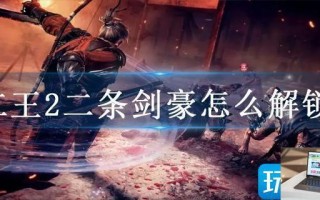 仁王2二条剑豪怎么解锁