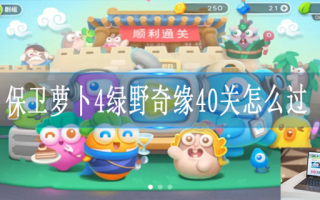 保卫萝卜4绿野奇缘第40关怎么过 保卫萝卜4绿野奇缘第40关怎么过