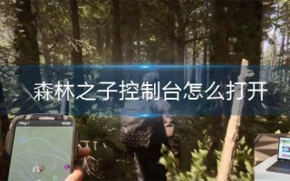 森林之子控制台怎么打开