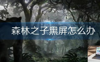 森林之子黑屏怎么办
