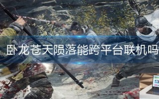 卧龙苍天陨落能跨平台联机吗