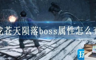 卧龙苍天陨落boss属性怎么查看