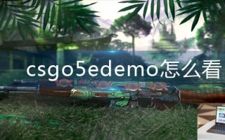 csgo5edemo怎么看