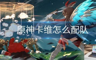 原神卡维怎么配队