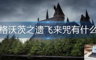 霍格沃茨之遗飞来咒有什么用