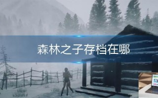 森林之子存档在哪