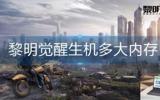黎明觉醒生机多大内存