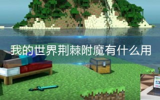 我的世界荆棘附魔有什么用