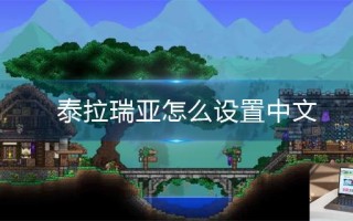 泰拉瑞亚怎么设置中文