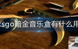 csgo暗金音乐盒有什么用