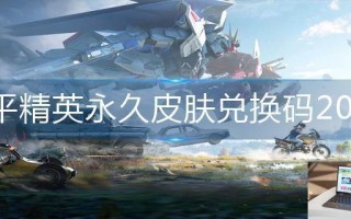 和平精英永久皮肤兑换码2023