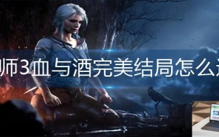 巫师3血与酒完美结局怎么选