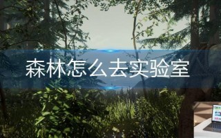 森林怎么去实验室