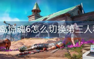 孤岛惊魂6怎么切换第三人称