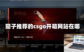 茄子推荐的csgo开箱网站在哪