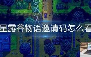 星露谷物语邀请码怎么看
