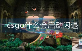 csgo什么会启动闪退