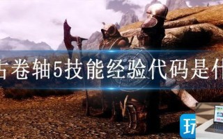 上古卷轴5技能经验代码是什么
